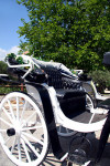 Horse carriage in Gerakari village